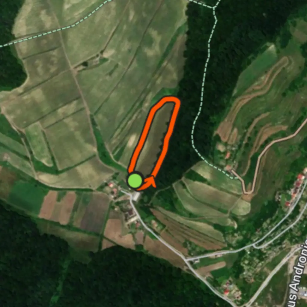 Kids Run